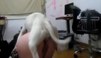 Anal fucking eine Mollige Besitzer mit einem Hund in einer Hütte