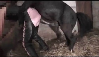 Pony mercilessly hard fucks a lady in the barn, zoo sex video